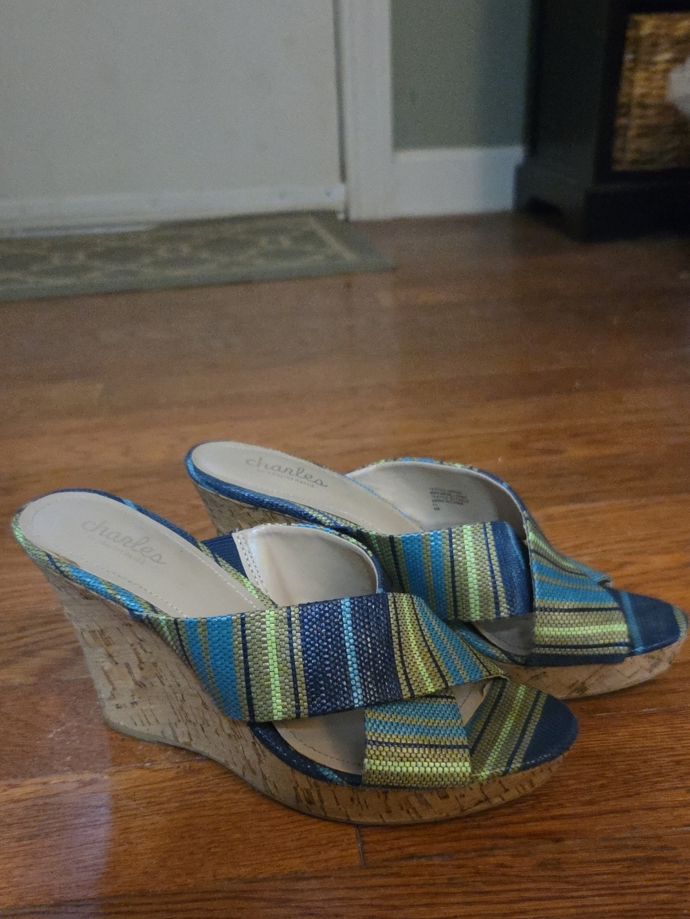 Charles by Charles David Blue & Green Striped Cork Wedges